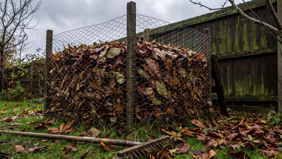 How to Make Leaf Mould From Autumn Leaves (UK)