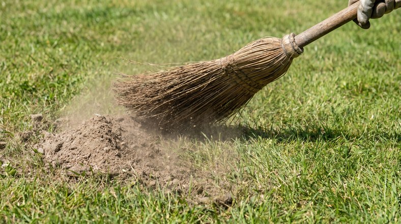 A stiff broom brushing a dry ant nest heap flat across a lawn