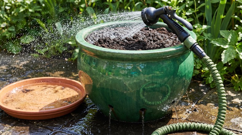 Large pot getting a deep soak from a hose and spray gun before a holiday