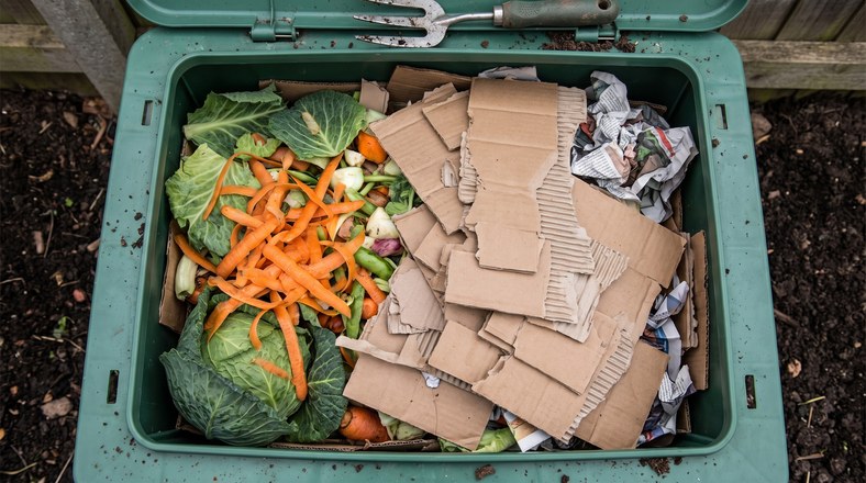 Kitchen scraps buried under torn cardboard browns to stop flies in a compost bin