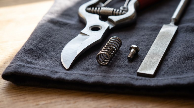 Dismantled secateurs and a diamond sharpening stone laid out for sharpening garden tools before winter