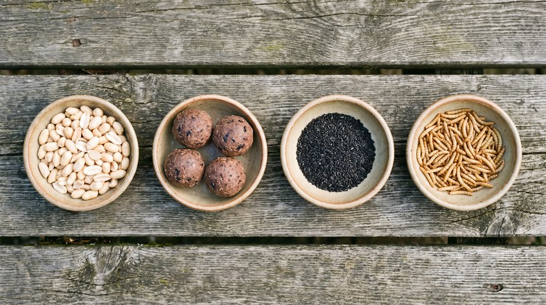 Overhead view of bowls of peanuts, fat balls, nyjer seed and dried mealworms for feeding garden birds