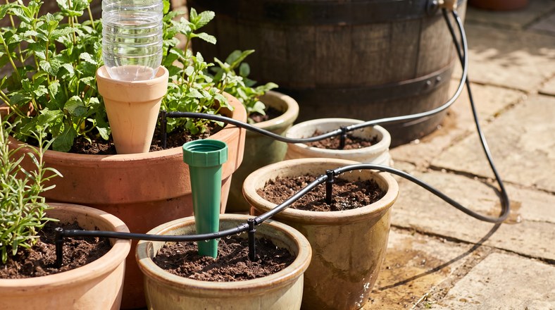 Ceramic watering cone, self-watering spike and drip irrigation drippers set up in patio pots